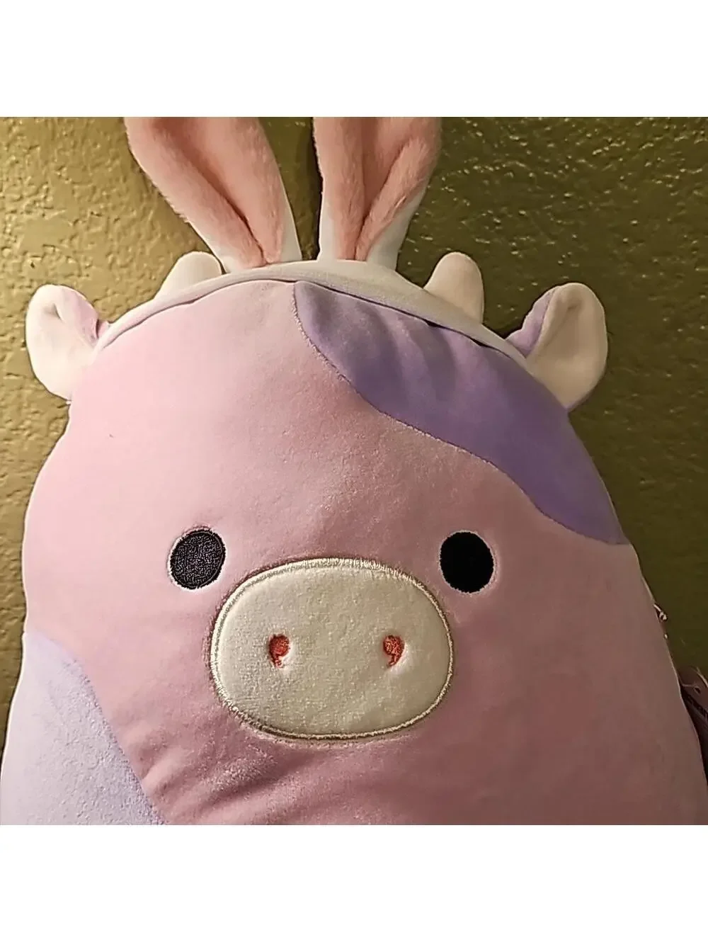 Patty the Cow with Bunny Ears Easter 11